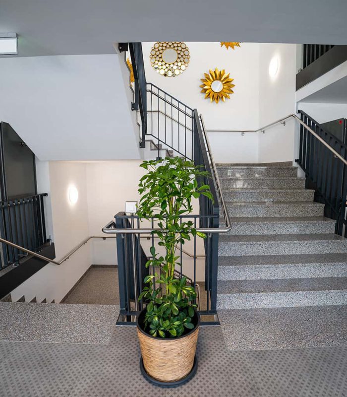 Treppenhaus mit Wandeko im Pflegeheim Blumberg